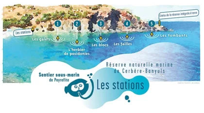 Sentier marin. Réserve Banyuls/mer. - Bonjour Fun