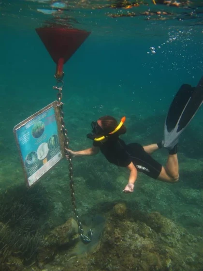 Sentier marin. Réserve Banyuls/mer. - Bonjour Fun