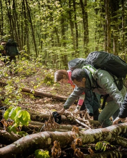 Stage "Avancé" Survie – 3 jours intensif Région Parisienne - Fontainebleau - Bonjour Fun