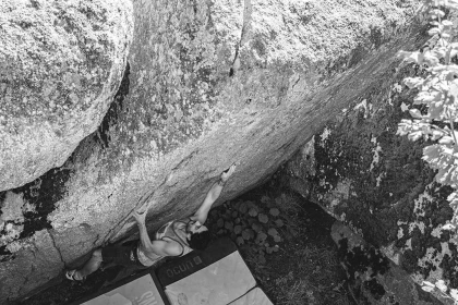 Stage Bloc - Bonjour Fun