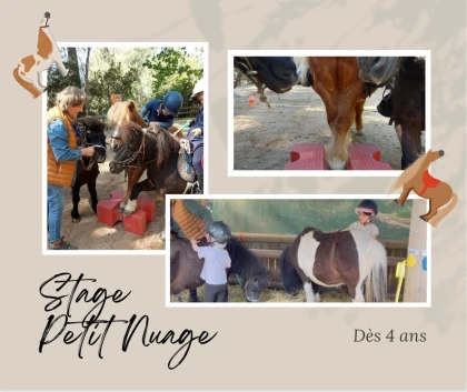 Stage petit Nuage - 5 séances/ semaine  pour enfants 4-7 ans. - Bonjour Fun