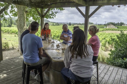 Tour Journée à Saint-Emilion : Balade Vins et Saveurs - Bonjour Fun