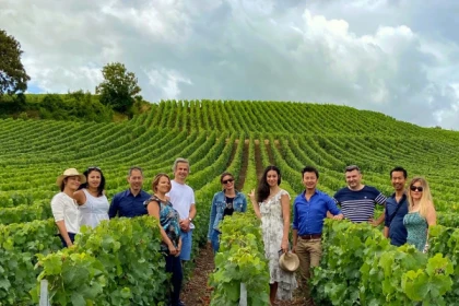 Vendangeur d'un jour à Rilly la Montagne - Bonjour Fun