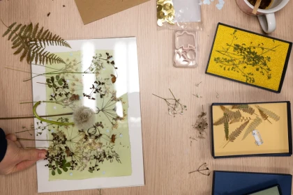 Venez faire des cyanotypes ! Une autre expérience de la photo - Bonjour Fun