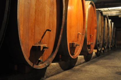 Visite de cave et dégustation - Bonjour Fun