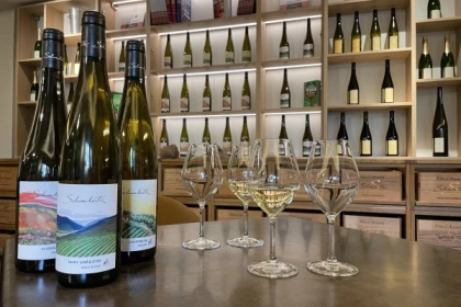 Visite du vignoble et de la cave - Bonjour Fun