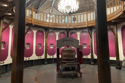 Wine tour à St-Emilion - Bonjour Fun