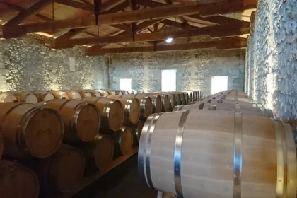 Wine tour Médoc - Bonjour Fun