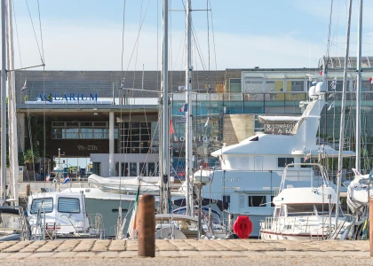 image de l'aquarium de La Rochelle