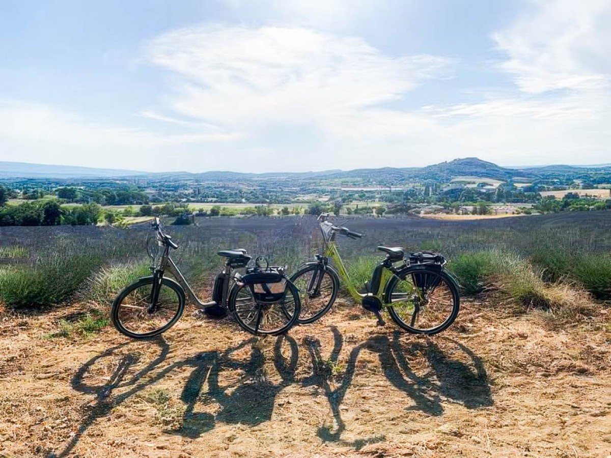 1/2 journée HALF DAY matin - Bonjour Fun