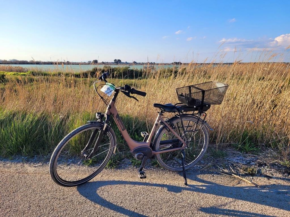 1/2 journée HALF DAY - Bonjour Fun