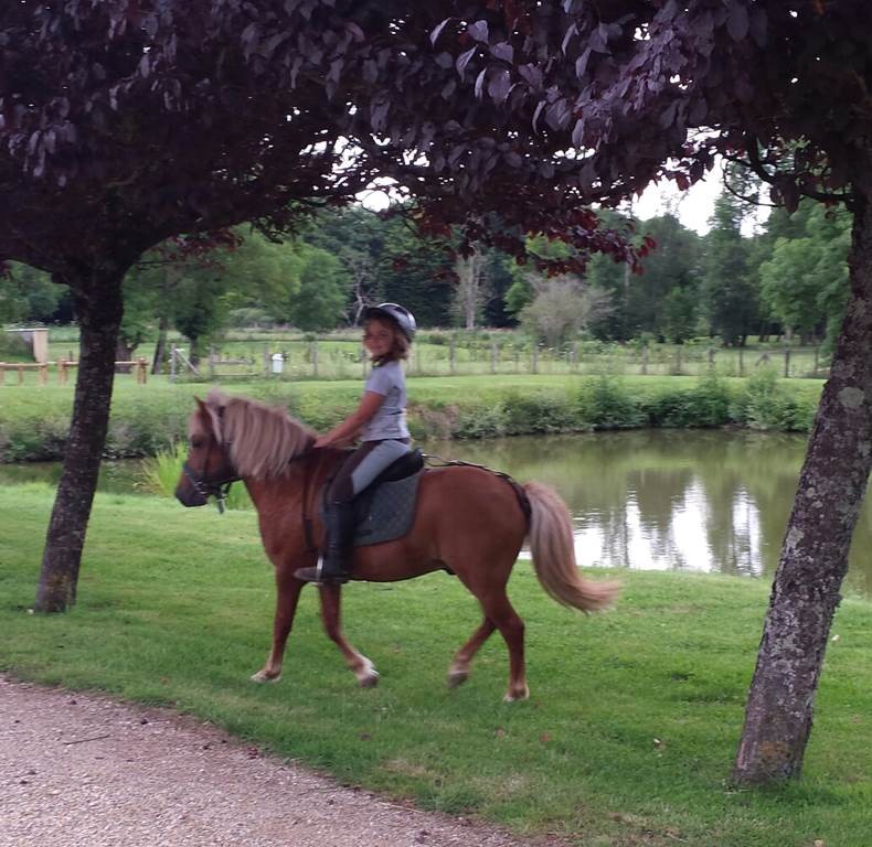 1H30 DECOUVERTE OU FORMATION PAR NIVEAU - Bonjour Fun