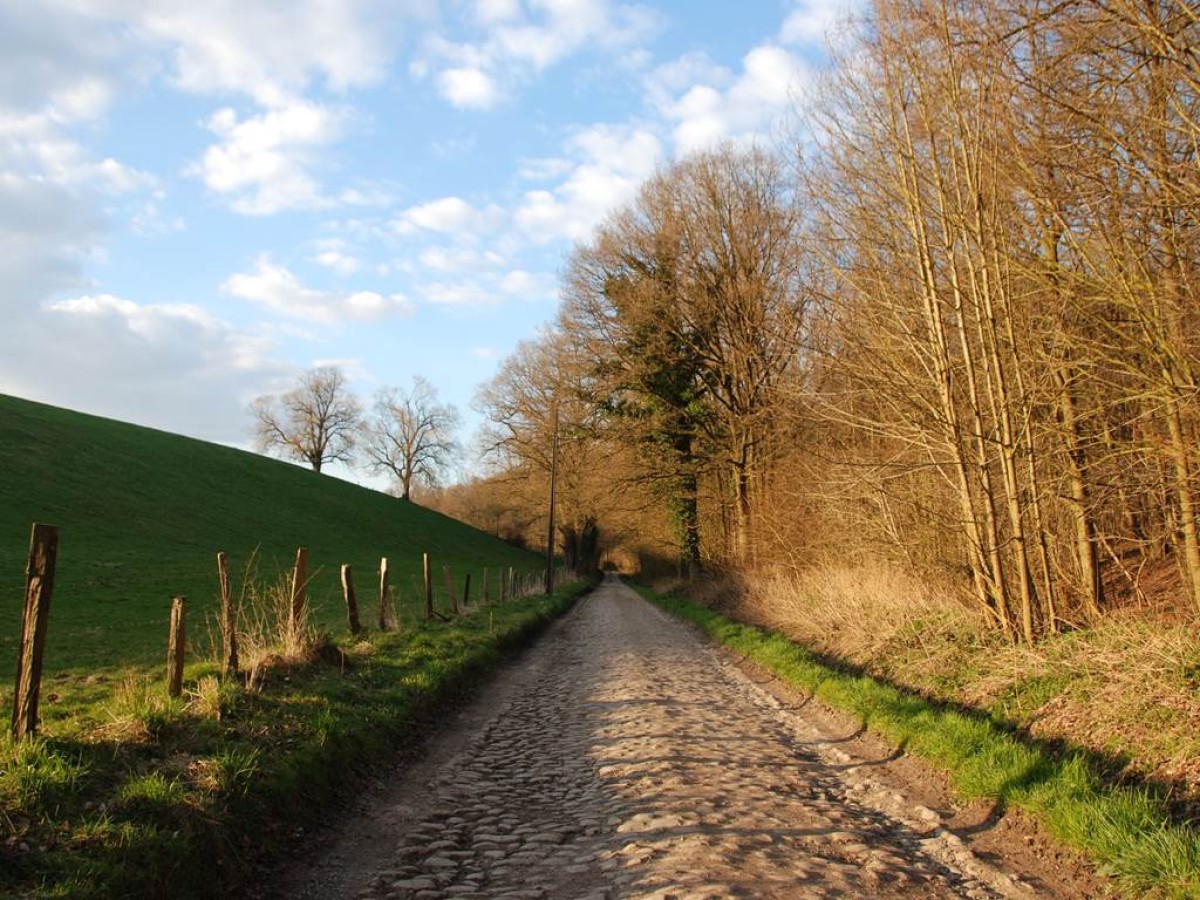 2 formules de jeu de piste familial sur la biodiversité - Bonjour Fun