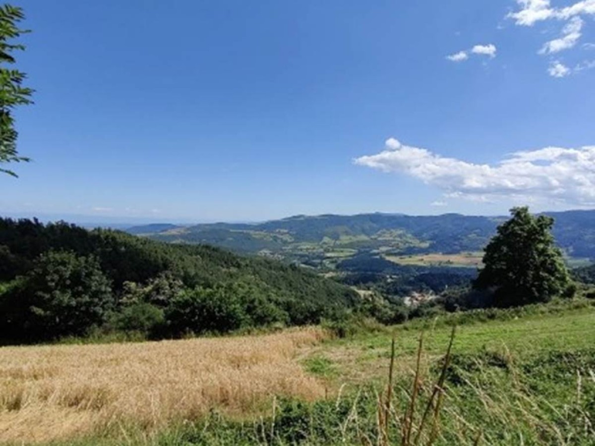 2 JOURS - 2 DAYS - Bonjour Fun