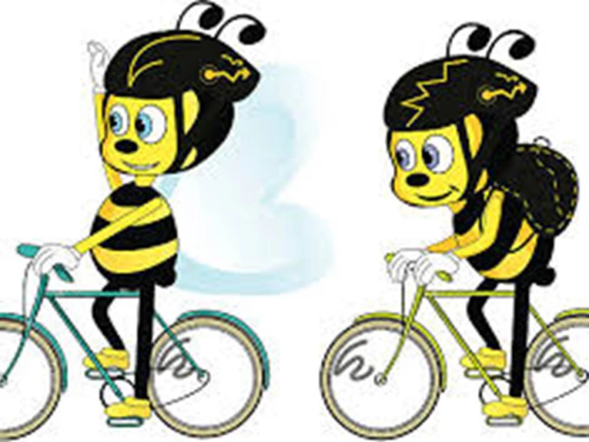 3h de découverte de l'abeille dans le Luberon - Bonjour Fun
