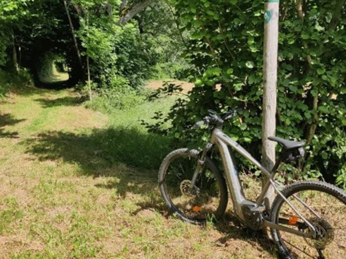 4 JOURS - 4 DAYS - Bonjour Fun