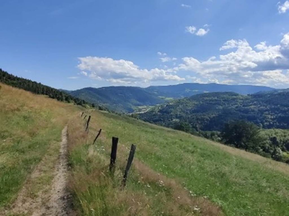 6 JOURS - 6 DAYS - Bonjour Fun