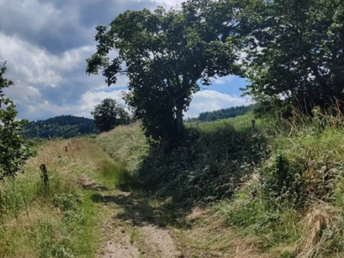 7 JOURS - 7 DAYS - Bonjour Fun