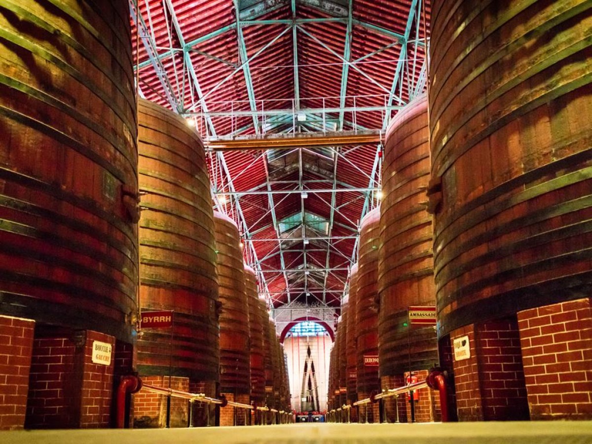 A l'ombre du Canigou - Bonjour Fun