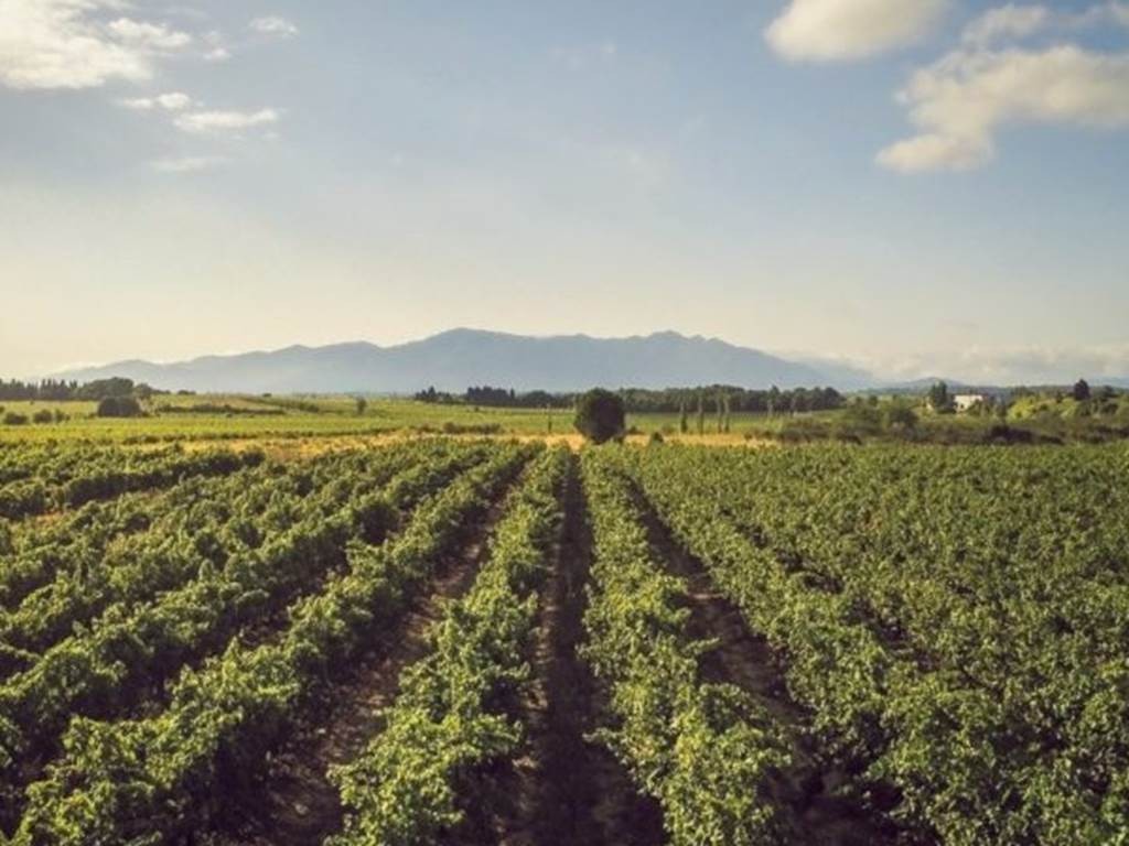 A l'ombre du Canigou - Bonjour Fun