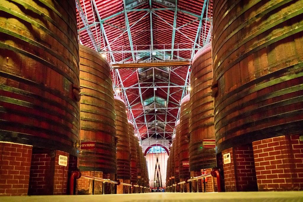 A l'ombre du Canigou - Bonjour Fun