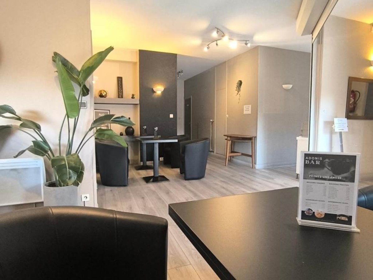 Adonis Lyon Est Hôtel Artys - Bonjour Fun