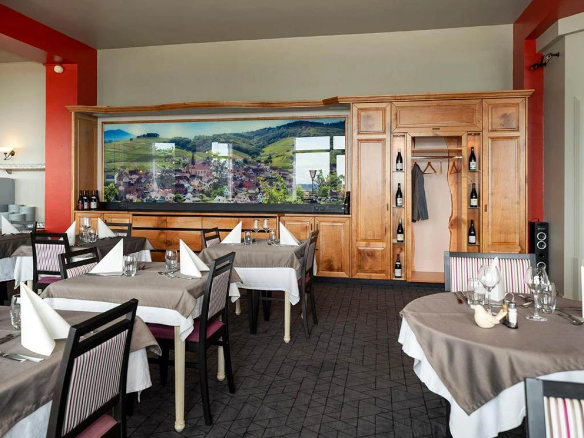 Alexain Hotel Restaurant & Wellness - Colmar Ouest - Bonjour Fun