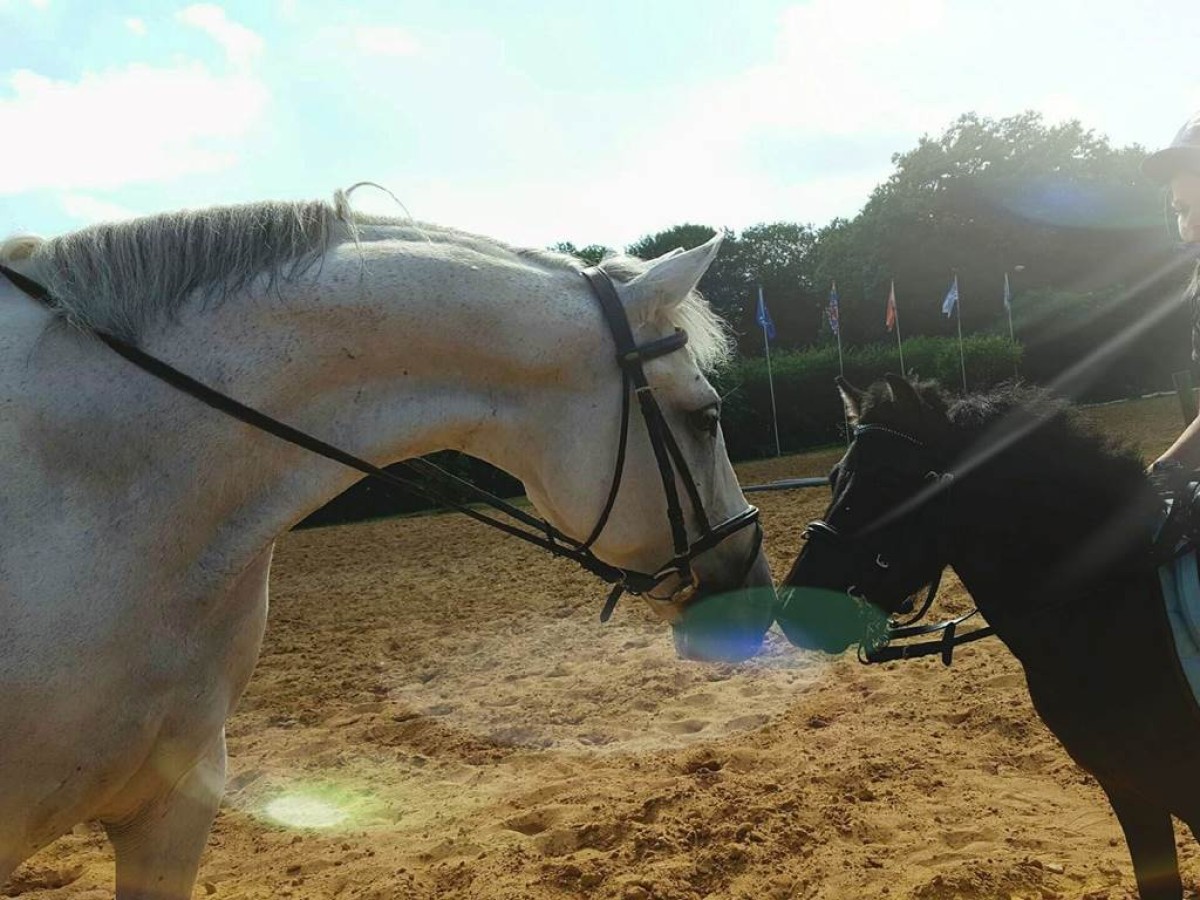 ANNIMATION FUN ESCAPE GAME - Bonjour Fun