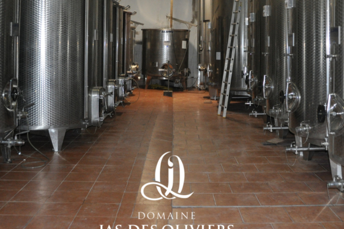 Apéro Dégustation : coucher de soleil avec vue sur les vignes - Bonjour Fun