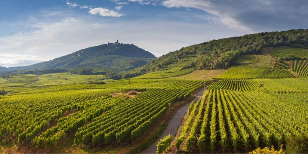 Apéro gourmand du 04 juillet - Que notre Alsace est belle! - Bonjour Fun