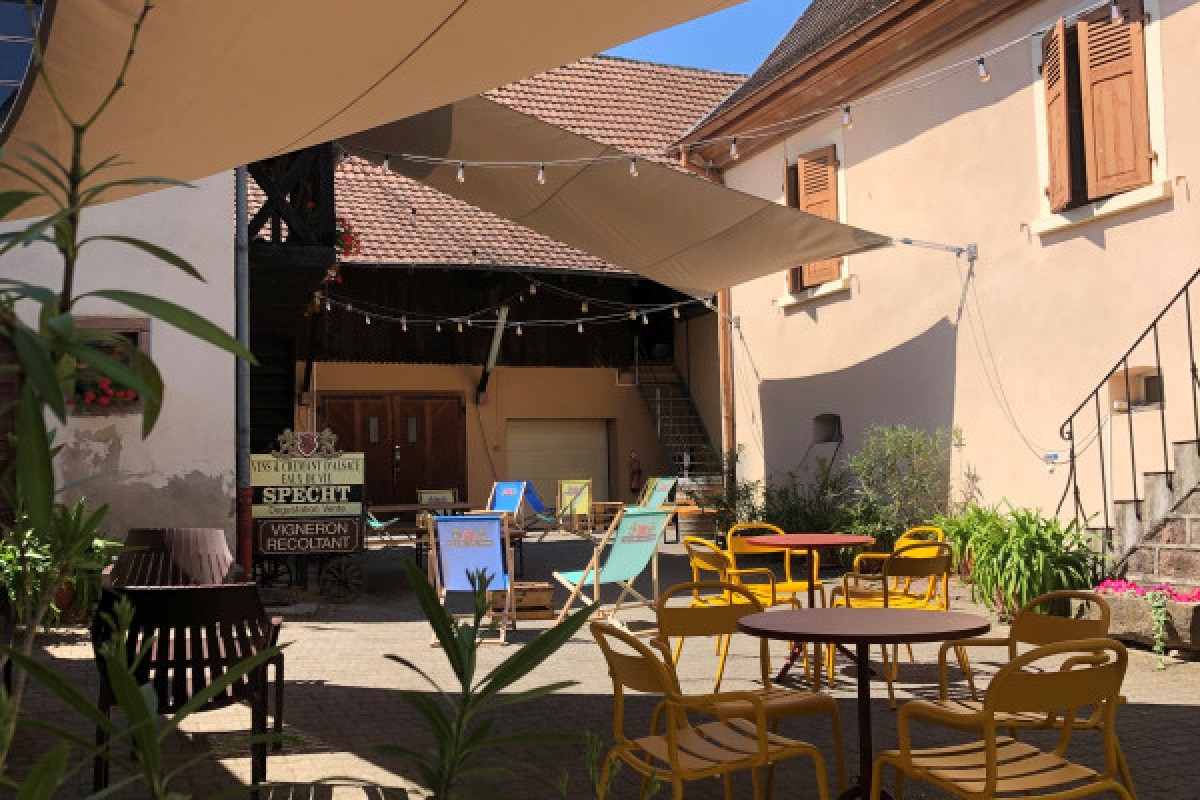 Apéro Gourmand : soirée conviviale au Domaine Specht - Bonjour Fun