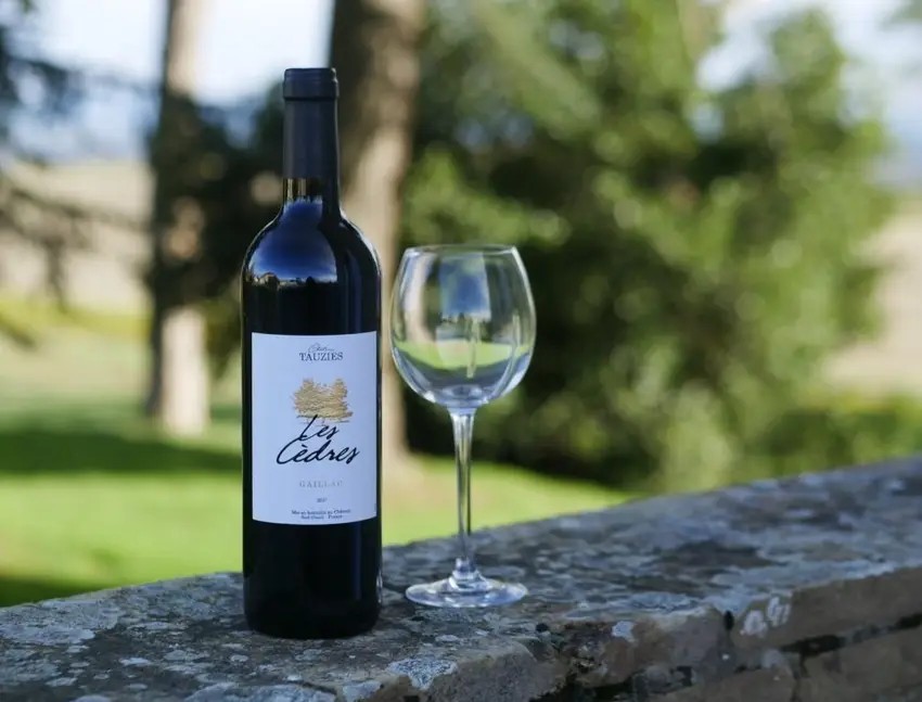 Apéro Time - Une découverte sensorielle du vin - Château De Tauzies - Bonjour Fun