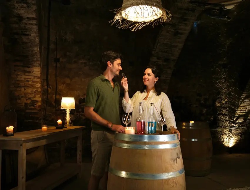 Apéro Time - Une découverte sensorielle du vin - Château De Tauzies - Bonjour Fun