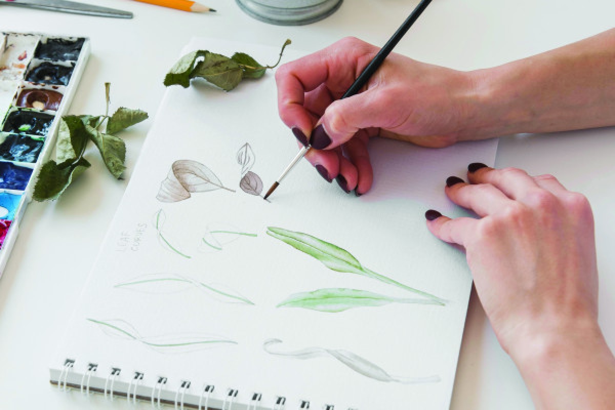 Aquarelle et botanique - Bonjour Fun