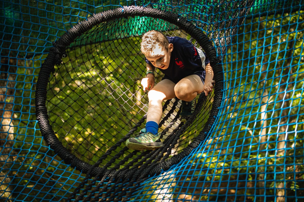 Arbofilets © - Bonjour Fun