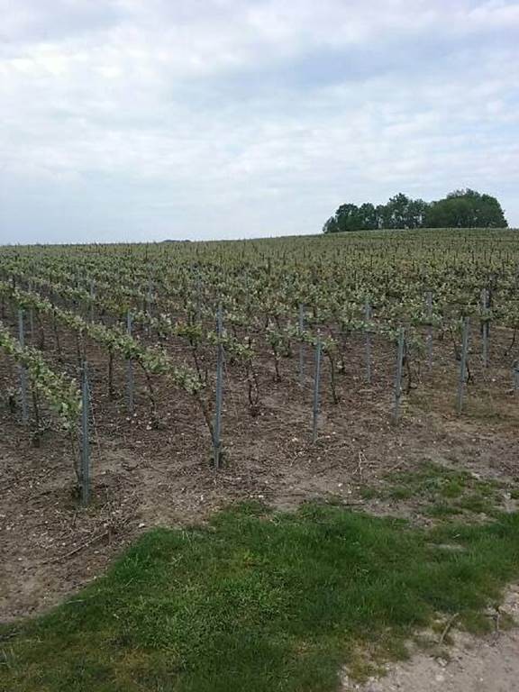 Ardennes Roues Libres  - Bonjour Fun