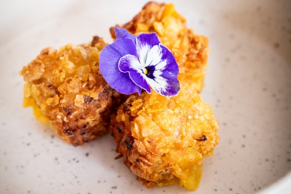 Atelier Adulte - Cuisine Végétale - Bonjour Fun