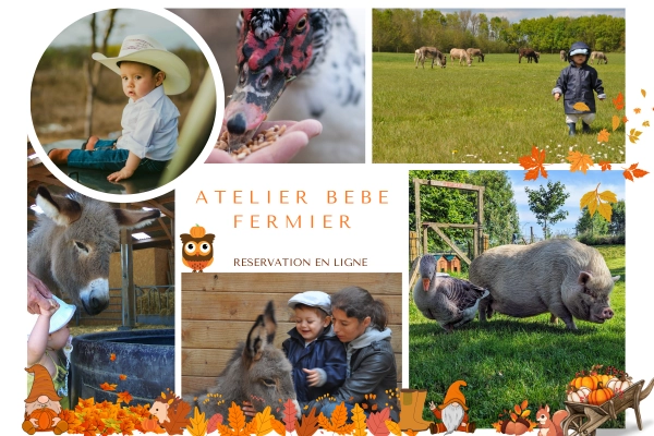Atelier "BEBE FERMIER" 0-4ans - Bonjour Fun