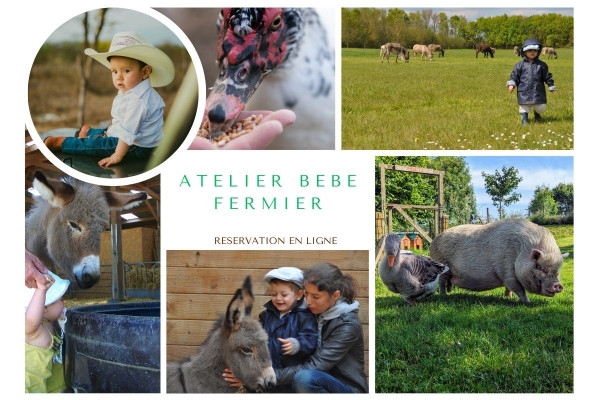 Atelier "BEBE FERMIER" 0-4ans - Bonjour Fun