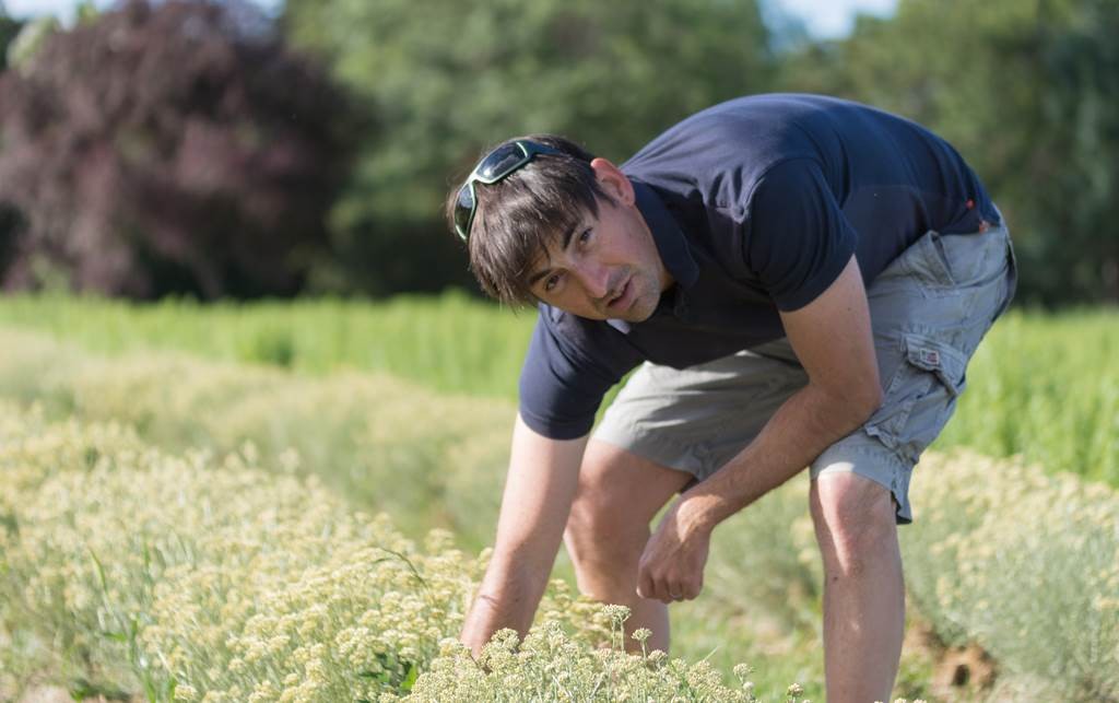 Atelier De la plante au Parfum - Bonjour Fun