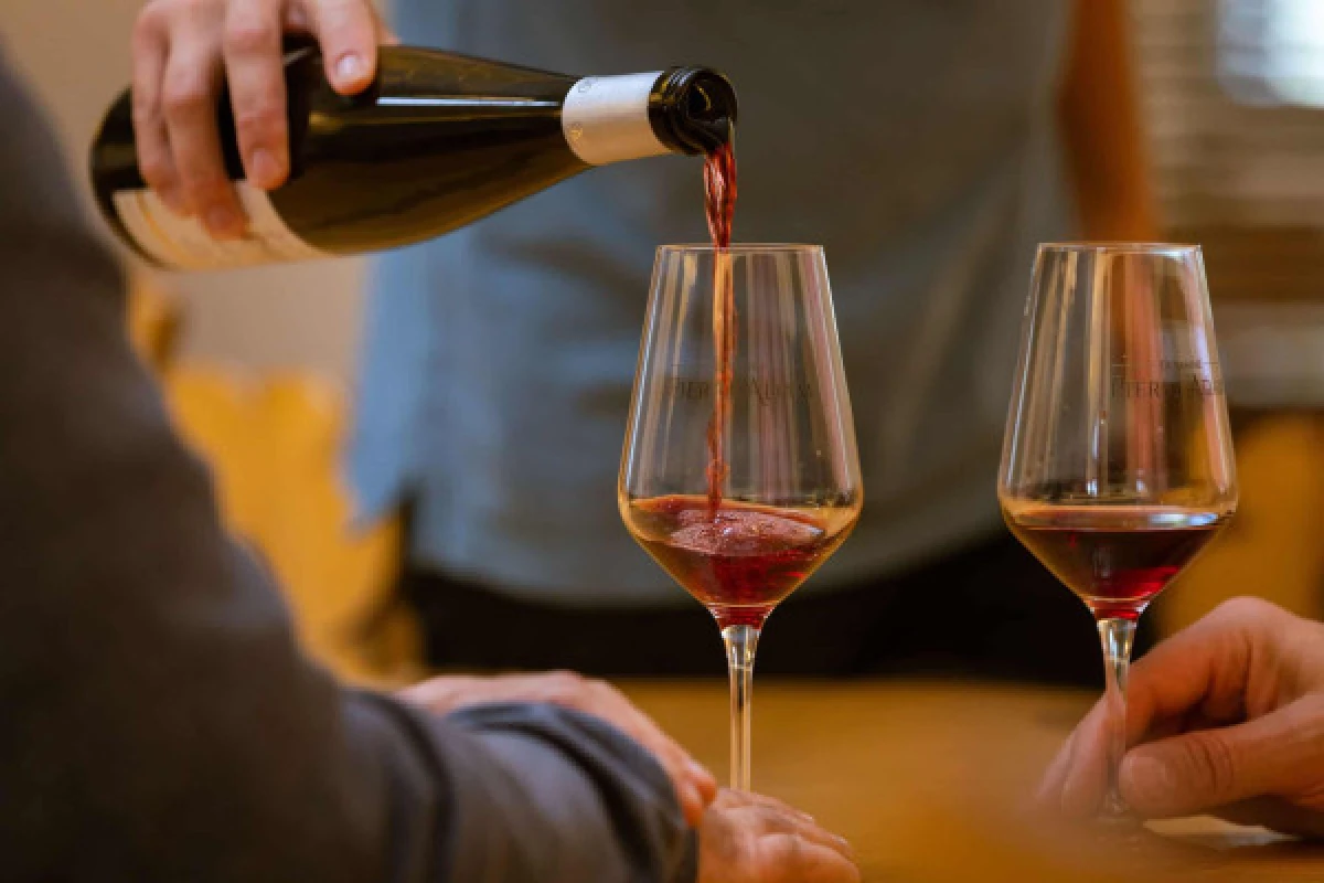 Atelier Découverte des Vins d'Alsace et Visite de Cave - Bonjour Fun