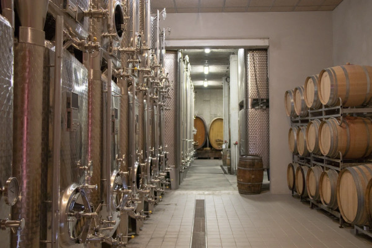 Atelier Découverte des Vins d'Alsace et Visite de Cave - Bonjour Fun