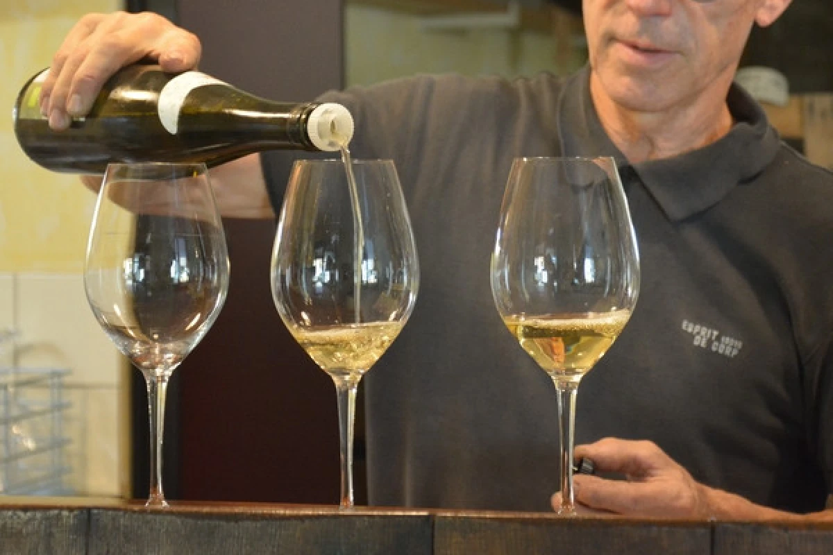 Atelier "Peinture et Vin" - Bonjour Fun