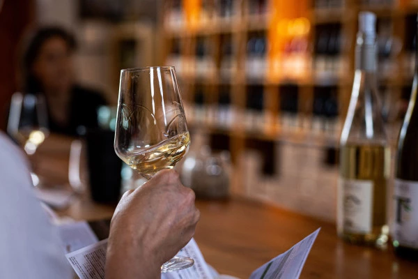ATELIER SENSORIEL VINS D ALSACE - Bonjour Fun