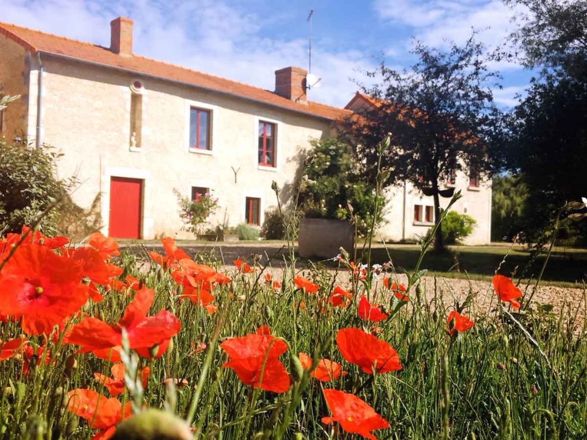 Au repos des elfes - Bonjour Fun