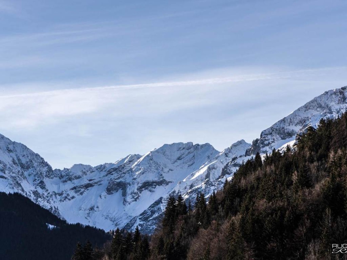 Auberge De La Foret - Bonjour Fun