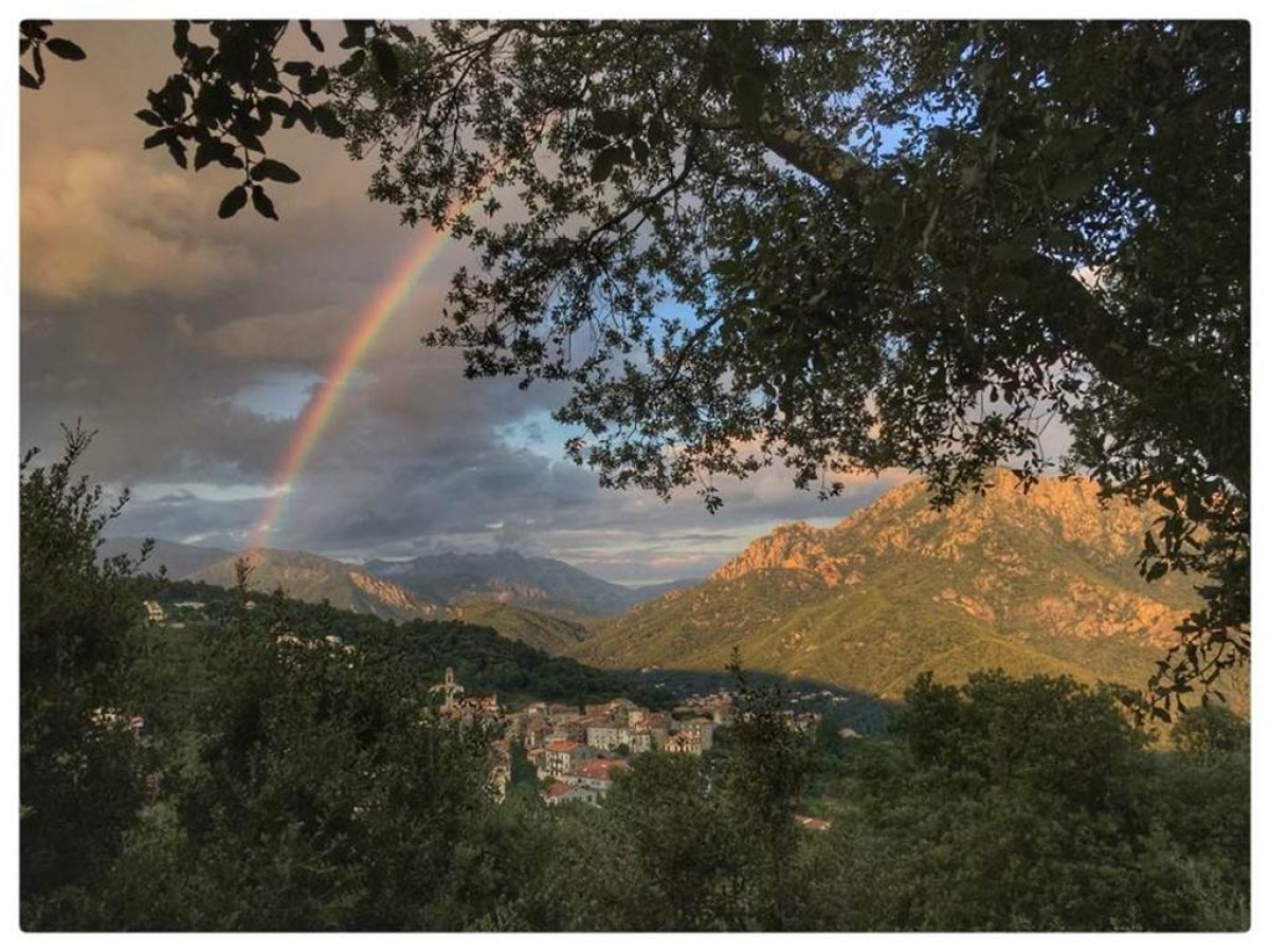 Auberge-Hotel U PARADISU - Bonjour Fun