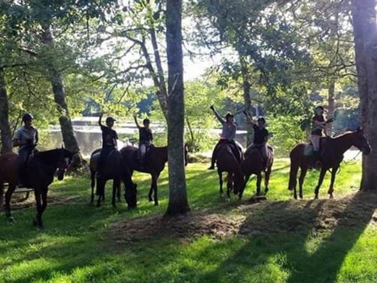 BALADE 3H SPORT EN FORET - Bonjour Fun