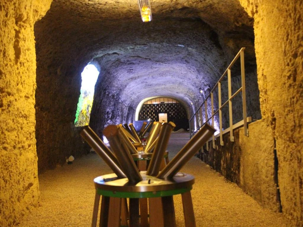 Balade à Amboise : exploration œnologique et culturelle en vélo électrique - Bonjour Fun