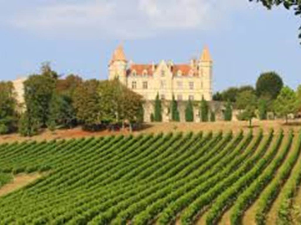 Balade au milieu des vignes et cultures à Moncassin - Bonjour Fun